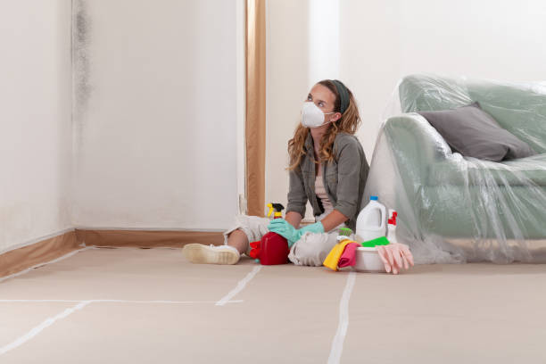 Reliable Mold Cleanup contractor in Grampian, PA by Cheap Mold Removal